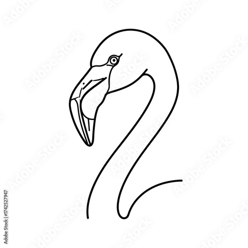 Elegant flamingo portrait showcasing graceful neck and distinctive beak in monochrome style.