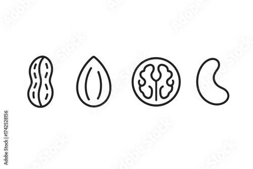 Outline icons of peanuts, almonds, walnuts, and cashews on white background