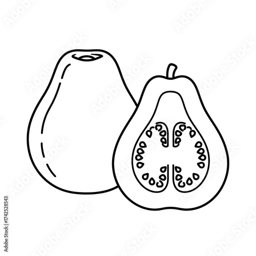 Guava fruit illustration with a whole and a cut section showing seeds.