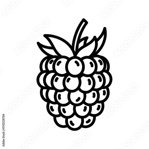 Simple raspberry fruit line art icon isolated on white background.