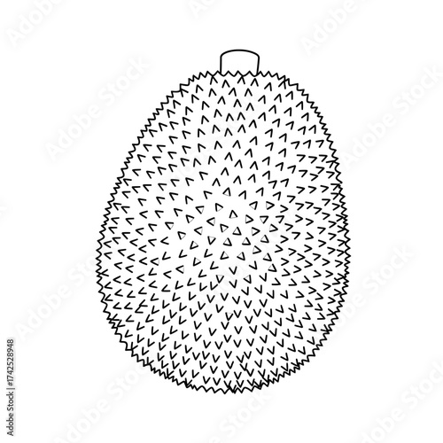 Simple black and white line art of a spiky durian fruit.
