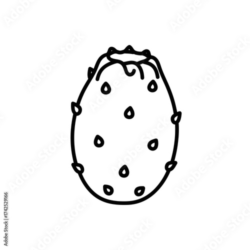 Prickly Pear Fruit Doodle Line Art.