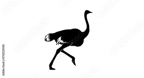 Silhouette of an ostrich walking gracefully across a white background.