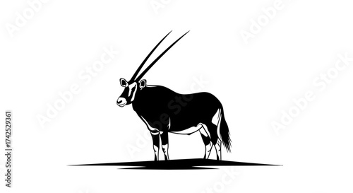 Majestic Oryx - A Striking Silhouette of African Wildlife.