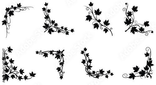 Collection of black and white award ribbons and badges displayed neatly