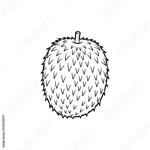 Detailed Line Art of a Spiky Soursop Fruit.