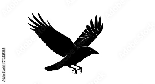 Black raven soaring through the air with outstretched wings, silhouette against white.