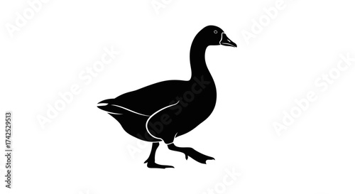 Silhouette of a black goose walking with its head held high.