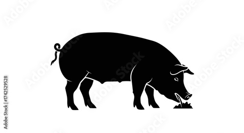 Black silhouette of a domestic farm pig rooting in the ground.
