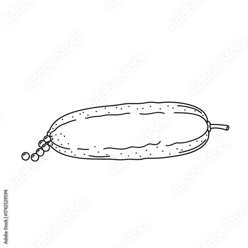 Detailed Line Art Illustration of a Fresh Cucumber.
