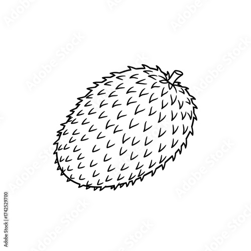 Detailed Line Art of a Spiky Soursop Fruit.