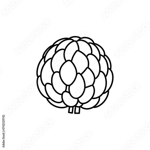 Custard Apple Outline - A Detailed Black and White Illustration.