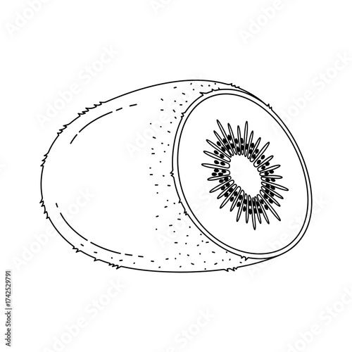 Detailed line art illustration of a kiwi fruit, sliced in half, showcasing its inner texture and seeds.