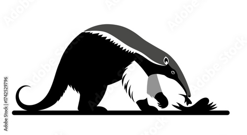 Stylized black and white giant anteater vector illustration.