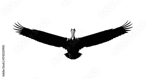 Majestic bird soaring through the sky with outstretched wings in silhouette.