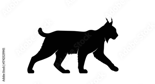 Silhouette of a Lynx Walking - A Feline Predator in Dark Outline.