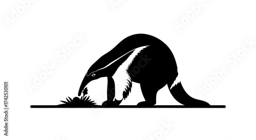Silhouette of an anteater foraging for food in its natural habitat.