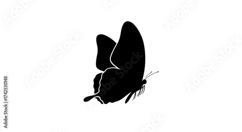 Butterfly Silhouette - A Delicate Dance of Darkness and Light.