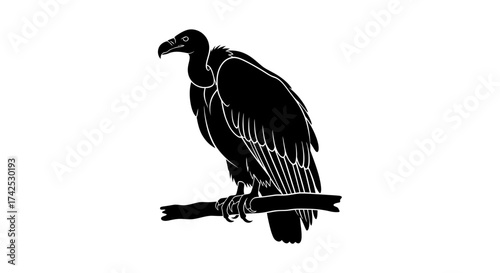 Silhouette of a Vulture perched on a branch.