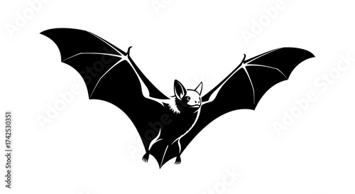 Silhouette of a bat with wings spread wide against a white background.