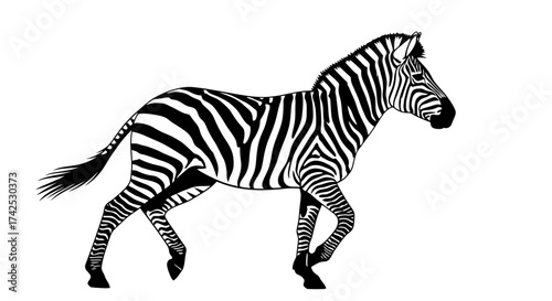 Black and white illustration of a walking zebra.