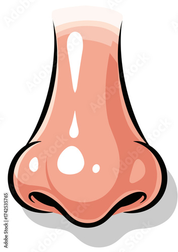 vector illustration of a nose