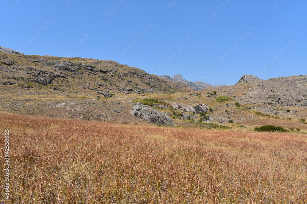 Obraz premium madagascar - andrigintra