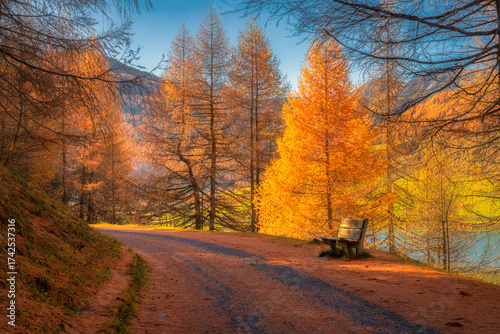 Mountain road in red leaves...
