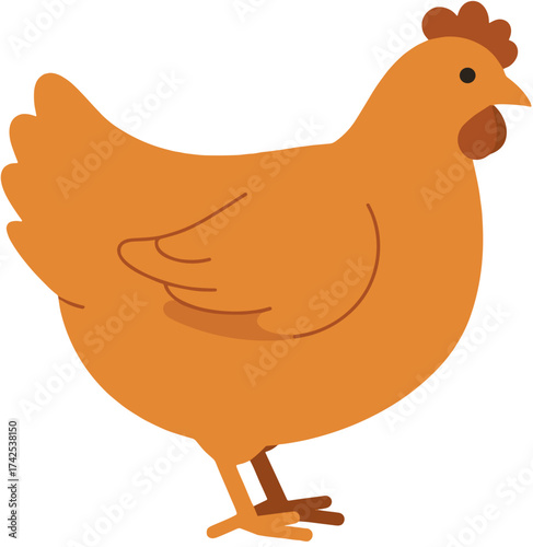 vector illustration of chicken