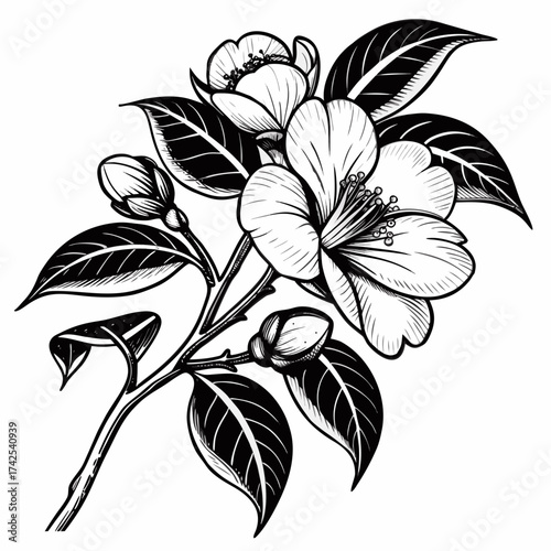 Monochrome pointillism, a large camellia with fresh, soft, deep-colored petals and hard, glossy leaves, expressed in monochrome, a powerful pointillism