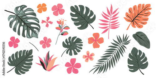 A colorful collection of stylized tropical jungle leaves and exotic flowers. Vector botanical elements for summer design