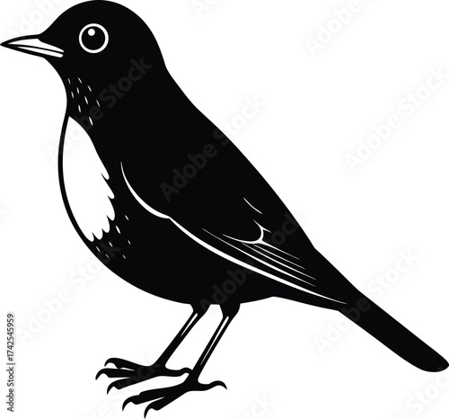 Detailed illustration of an american robin bird in flight or perched
