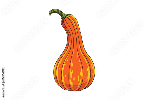 Orange gourd with a curved stem and ribbed texture.