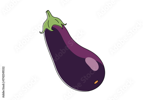 A detailed visual representation of a ripe purple eggplant fruit on a white background.