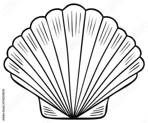 Elegant scallop shell line art illustration. Simple black and white drawing of a marine clam shell