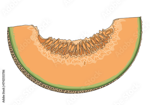 A close up of a slice of cantaloupe showing its flesh and seeds.