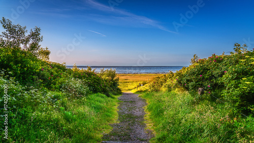 Sommer auf Sylt am Morsumer Kliff