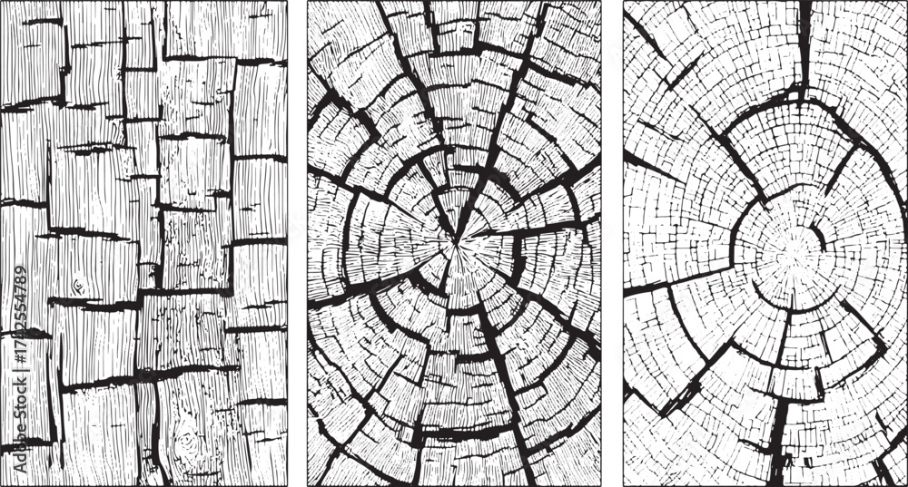 Obraz premium Black and White Vintage Wooden crack Concrete Wall Grunge set Texture Distressed Cracked Concrete Wall Texture Background Grunge Damaged Cement Surface vectors design on transparent background.
