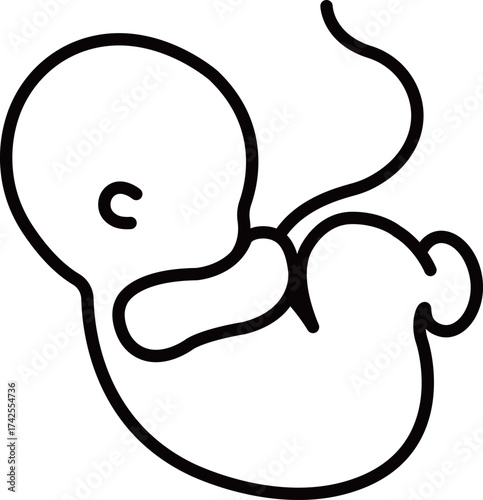 Fetal Development Stages - Embryo Outline Icon