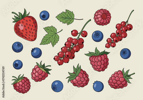 A vibrant collection of fresh red currants strawberries blueberries and raspberries.