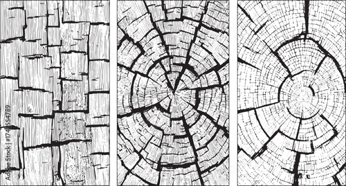 Black and White Vintage Wooden crack Concrete Wall Grunge set Texture Distressed Cracked Concrete Wall Texture Background Grunge Damaged Cement Surface vectors design on transparent background.