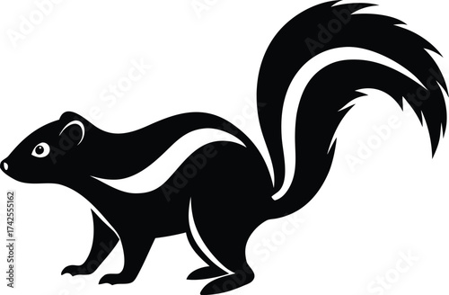 Illustration of a skunk known for its defensive spray
