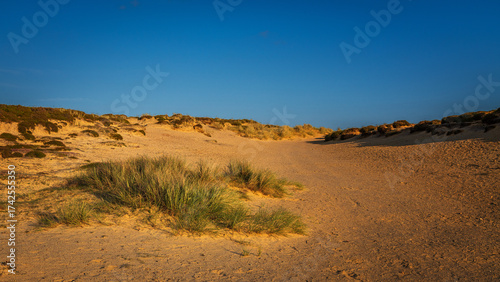 Sommer auf Sylt am Morsumer Kliff