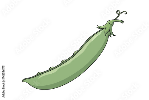 Illustration of a single green pea pod in a simple, clean cartoon style