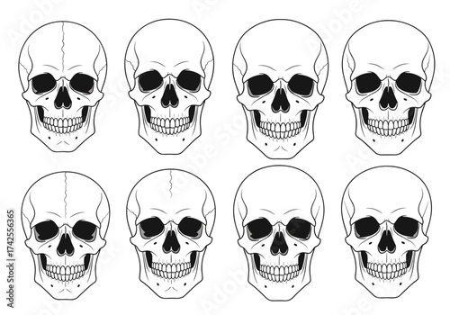 An illustration of eight skull faces in a two by four grid.
