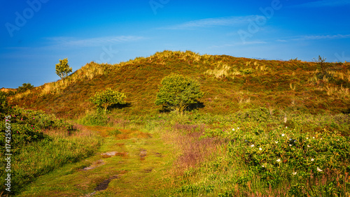 Sommer auf Sylt am Morsumer Kliff