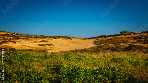 Sommer auf Sylt am Morsumer Kliff