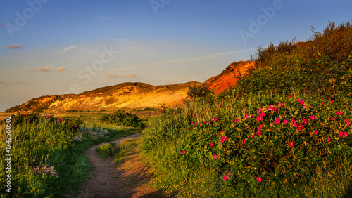 Sommer auf Sylt am Morsumer Kliff