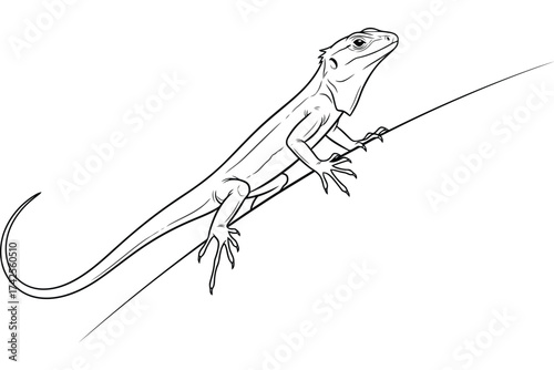 Illustration of a lizard perched on a branch with a long tail