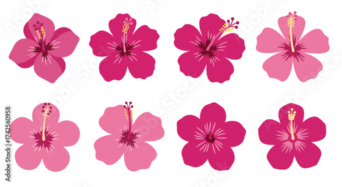 Collection of vibrant pink hibiscus flowers in various shades and views
